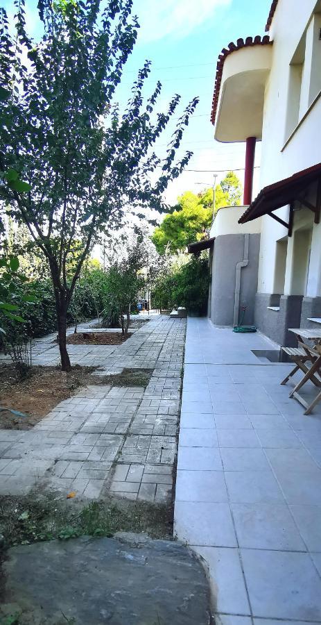 Amazon Spacious 3Bedroom Premium Neighbourhood Атина Екстериор снимка